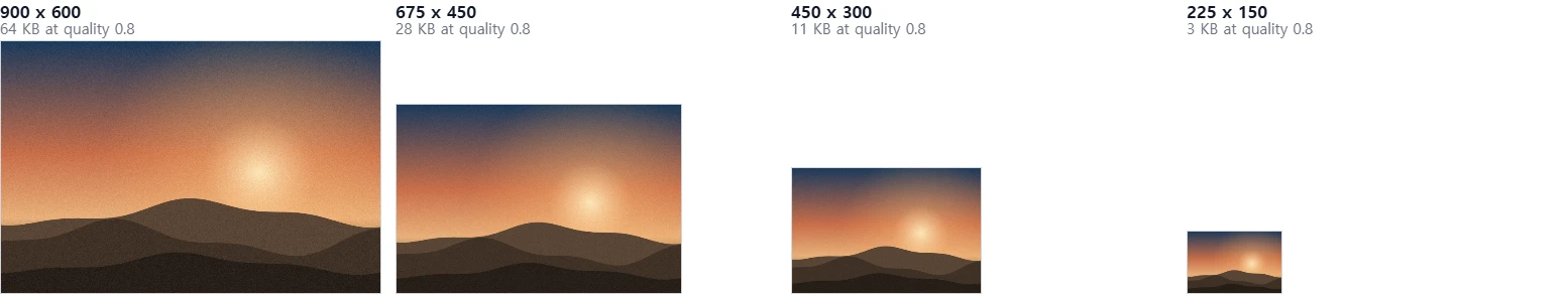 The same photograph at 900x600, 675x450, 450x300 and 225x150 pixels, drawn at true relative size with the file size of each